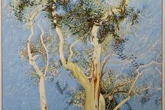 Eucalypt Song SOLD