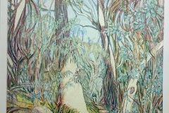 Mt-Buffalo-Walk