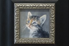-Miss-kitty-