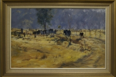 Bovine boulevard