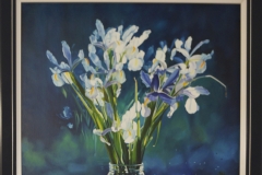 Dutch irises