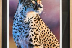 Sunset-cheetah