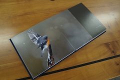 David Godfrey - Book- Cathartic Release -