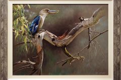 Evan-Neokli-Blue-winged-kookaburra-