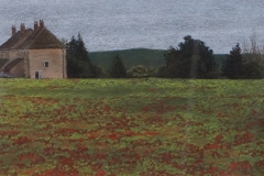 Poppyfield-