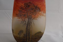 Nogoa-bottletree