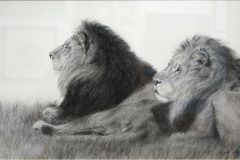 Strength-of-the-pride-