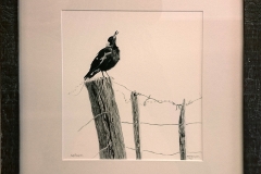 Kate Jenvey-the last post -