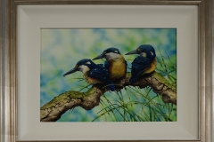 Azure-kingfisher-
