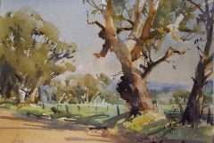 Forlongue-Rd-Euroa-VIC-