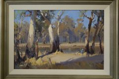 On-the-Murray-at-Barmah-