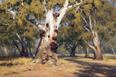 Barwon-Gums-100-x-75cm-