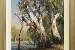Gums-by-the-Murray-40-x-50cm-