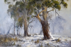 Moving through the snow -